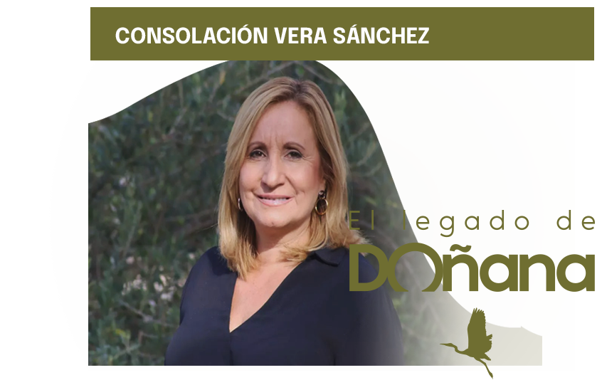 ConsolacionVeraSanchezII